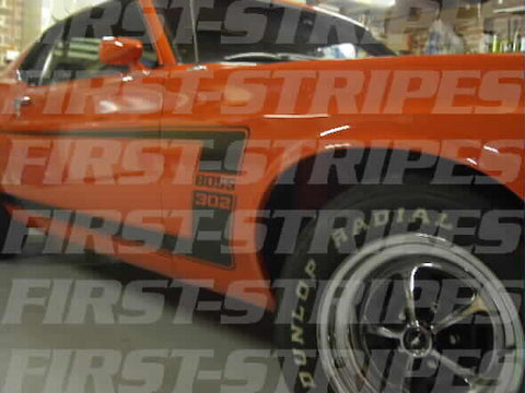 FORD 1969 MUSTANG ' BOSS 302 REFLECTIVE STRIPE KIT '