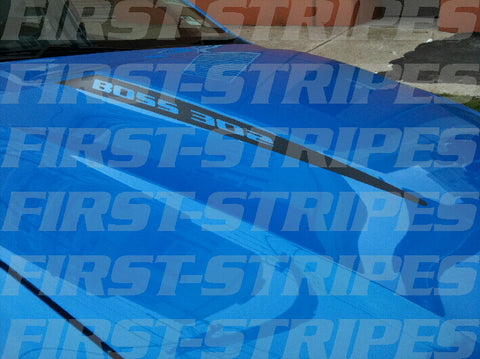 FORD " FG GS Mk1 " FALCON XR8 Bonnet Bulge Decals BOSS 302 290