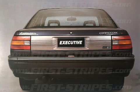 Holden Commodore VN EXECUTIVE " Factory Stripe / Pinstriping "
